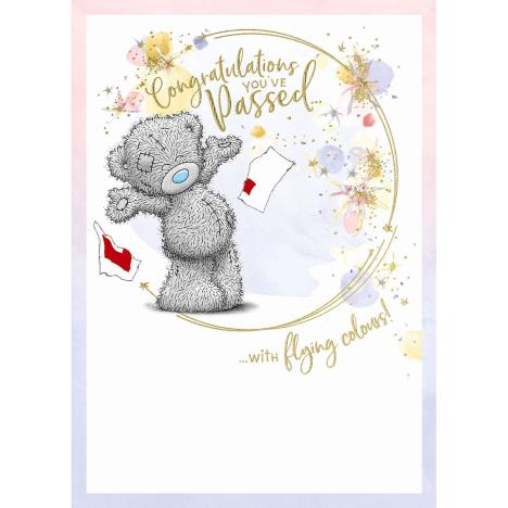 Driving Test Congratulations Me to You Bear Card  £1.79