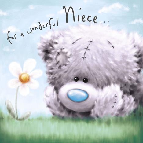 Wonderful Niece Softly Drawn Me to You Bear Birthday Card (ASV77008 ...