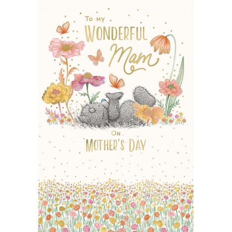 Wonderful Mam Me to You Bear Mother