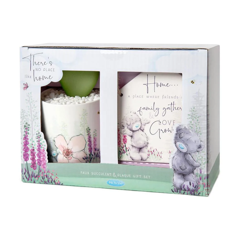 No Place Like Home Faux Succulent & Plaque Me to You Bear Gift