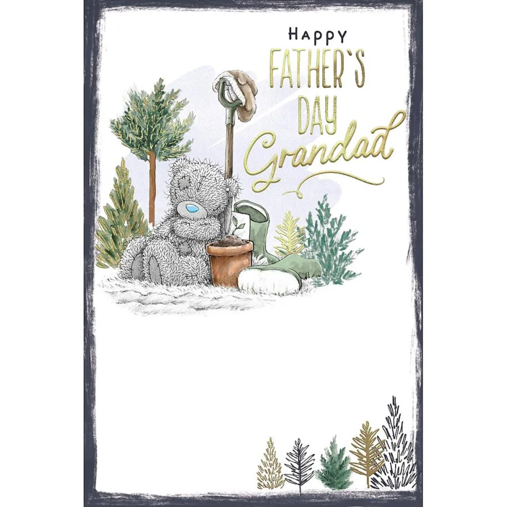 Grandad Me to You Bear Father