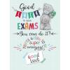 Good Luck In You Exams Me To You Bear Card