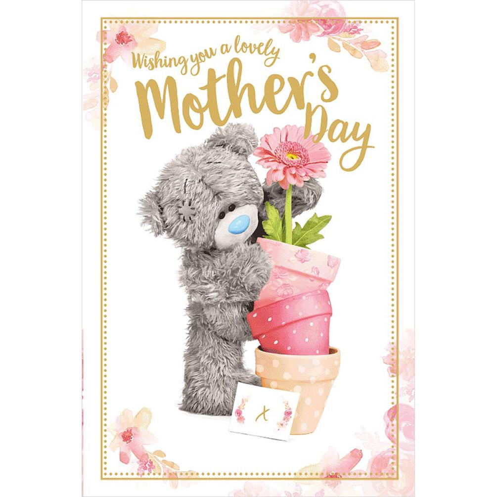 Holding Flower Pots 3D Holographic Me to You Bear Mother's Day Card ...