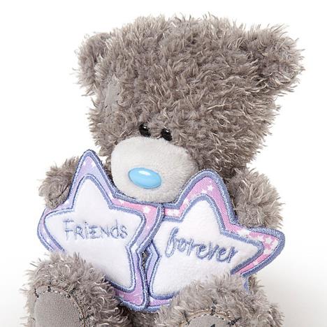 Me to You Bear Plush Coin Purse (G01Q0517) : Me to You Bears